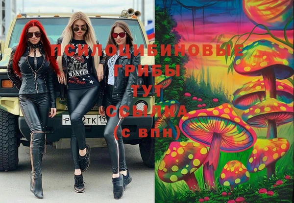 круглые Тайга