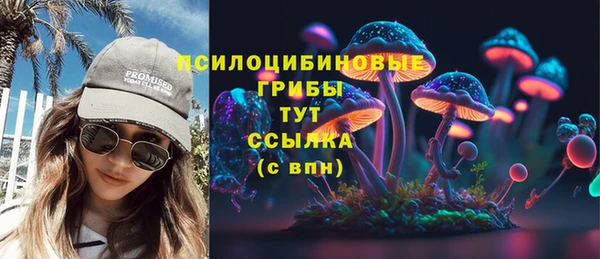 тгк Козловка