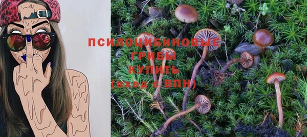 тгк Козловка