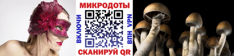 Галлюциногенные грибы прущие грибы  Купить закладки  Адыгейск 