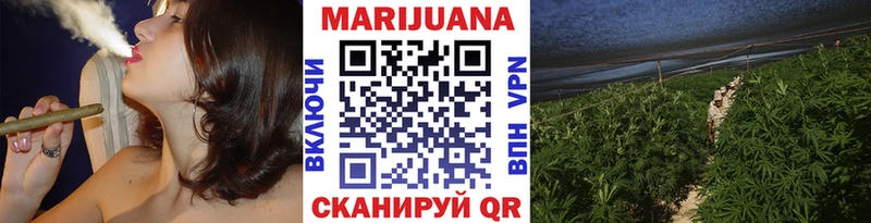 Бошки марихуана ГИДРОПОН  Купить закладки  Адыгейск 